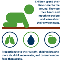 Proportionate to their weight, children breathe more air, drink more water and consumer more food than adults.